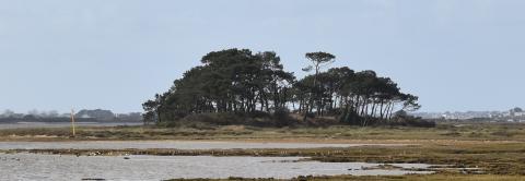 Balise Espar réglementaire concernant l'arrêté de protection de biotope "Fond de la Petite Mer de Gâvres" - île aux Pins