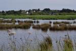 Marais de Pen Mané (O.Doré)