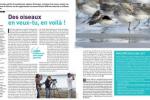 Article Les Nouvelles
