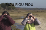 Film PIOU PIOU PIOU
